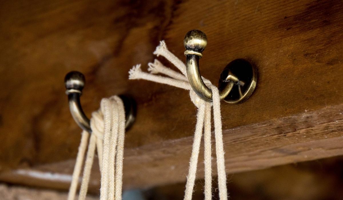 Plants hanging from hooks