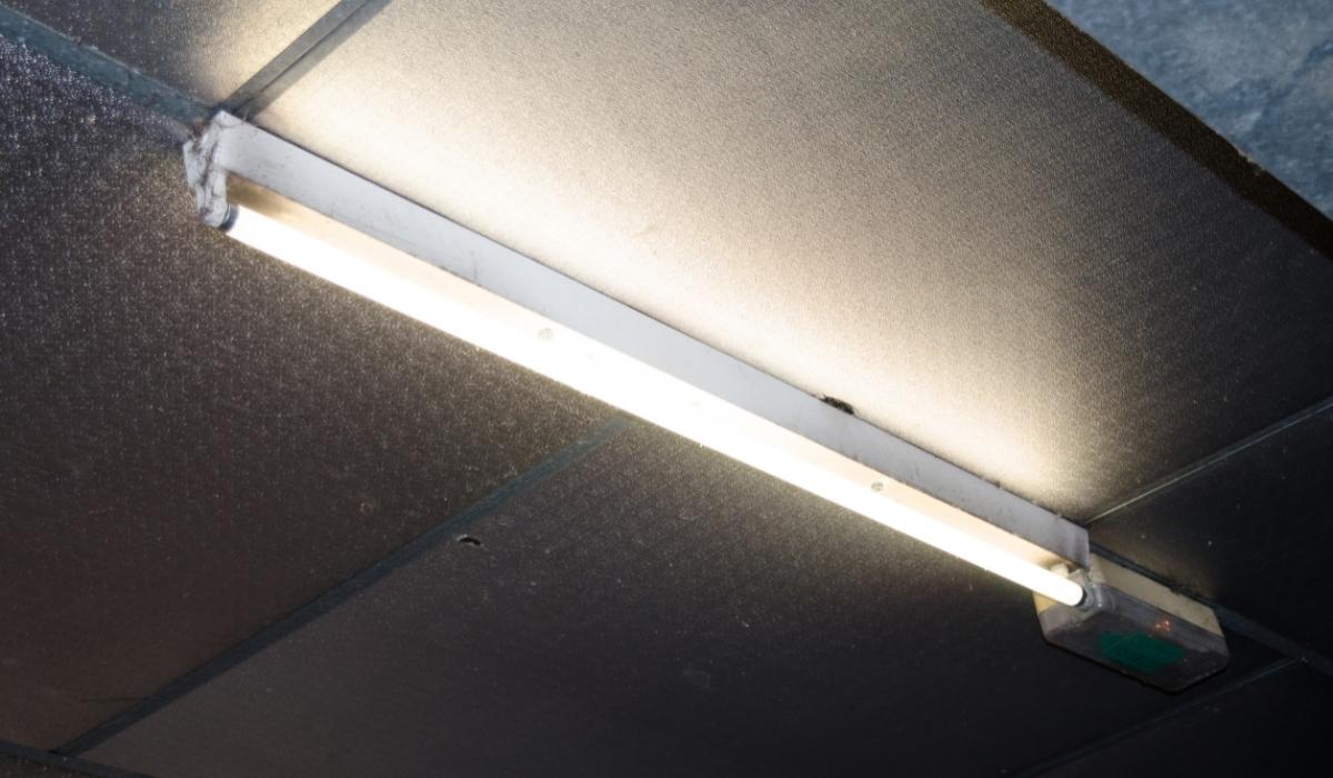 A tubelight in a shed
