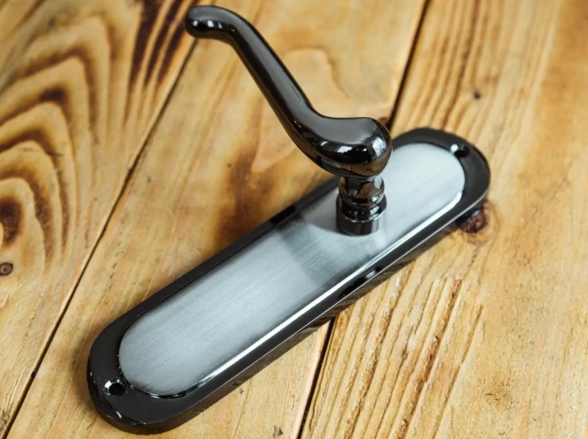 a turnberry backplate door handle 