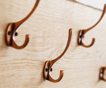 Coat and hat hooks category