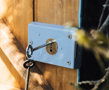 Rim Lock category