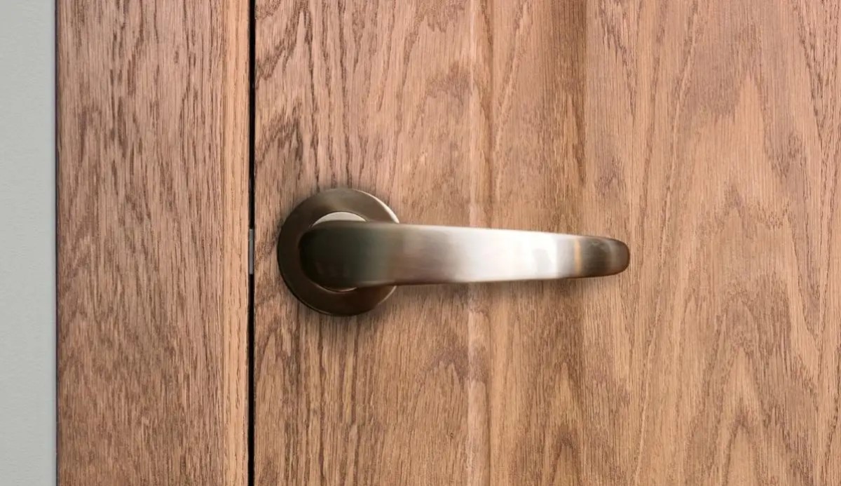 a brushed nickel door handle on a wooden door